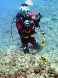 My buddy photographing anemonefish on a reef near Umatac,... by Bill Stewart 
